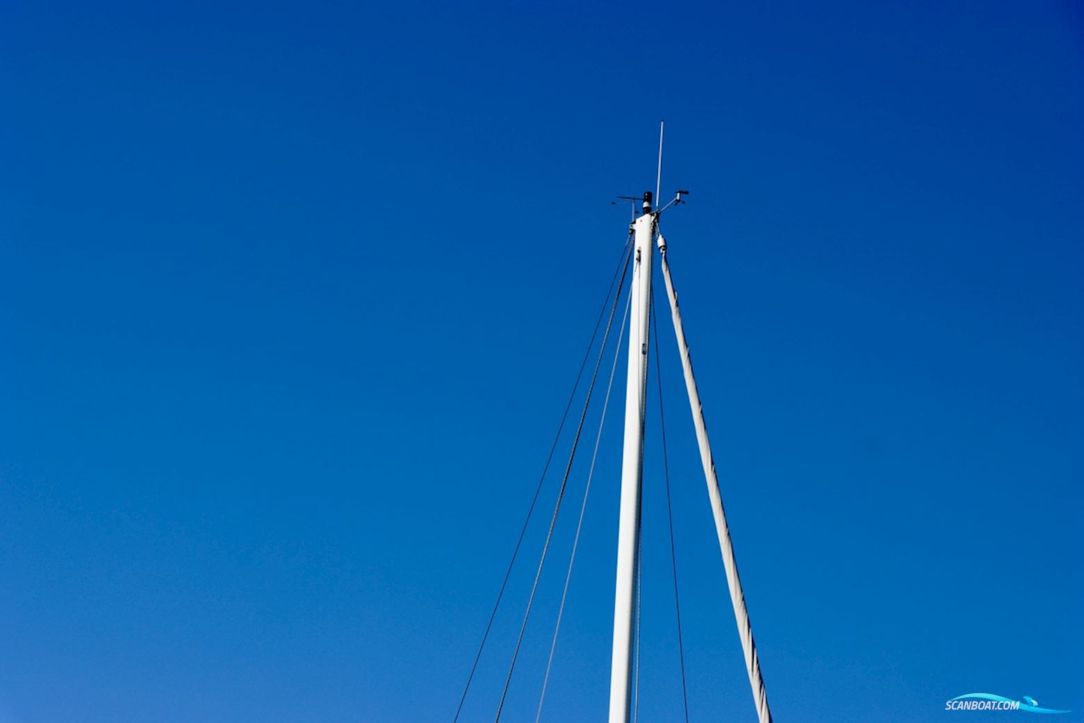 Catalina 36