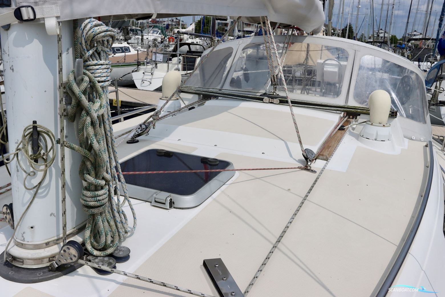 Catalina 36