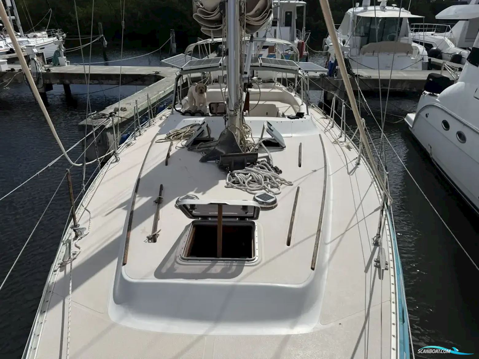 Catalina 41 Classic