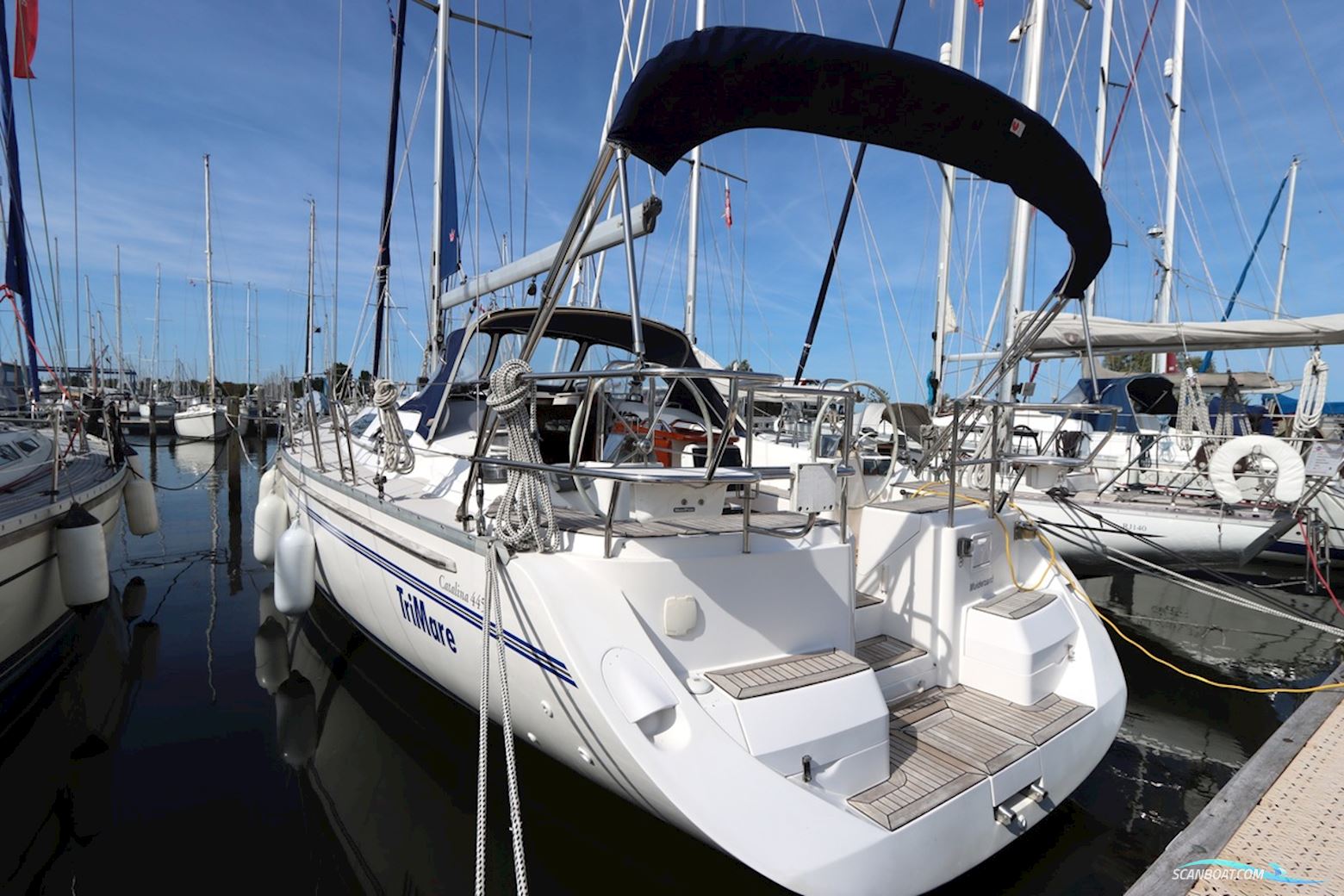 Catalina 445