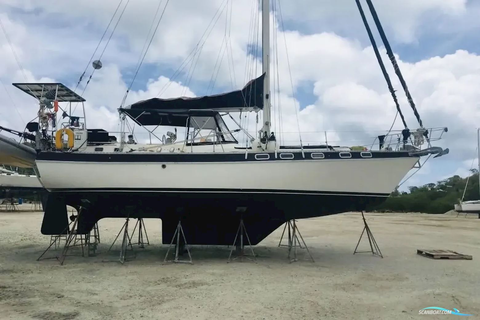 Catalina Out Island Classic 41