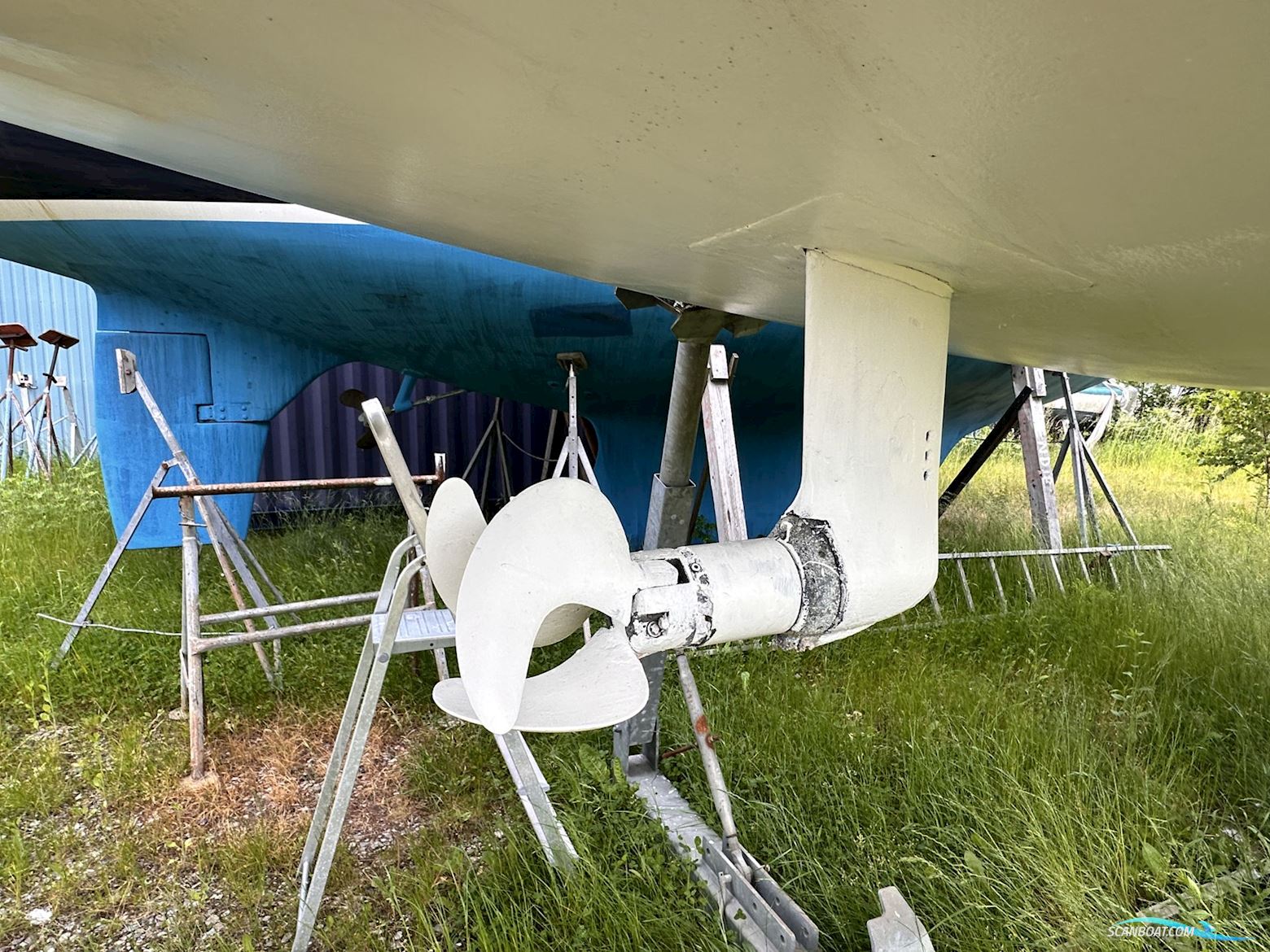 Celeste 36