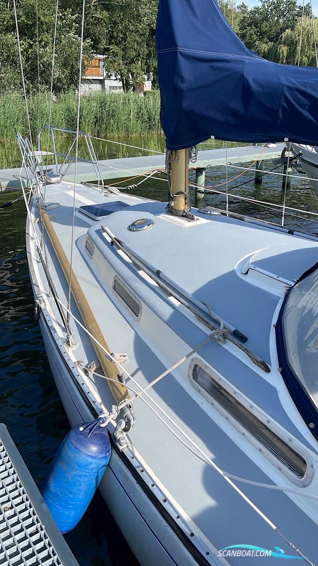 Centurion 32