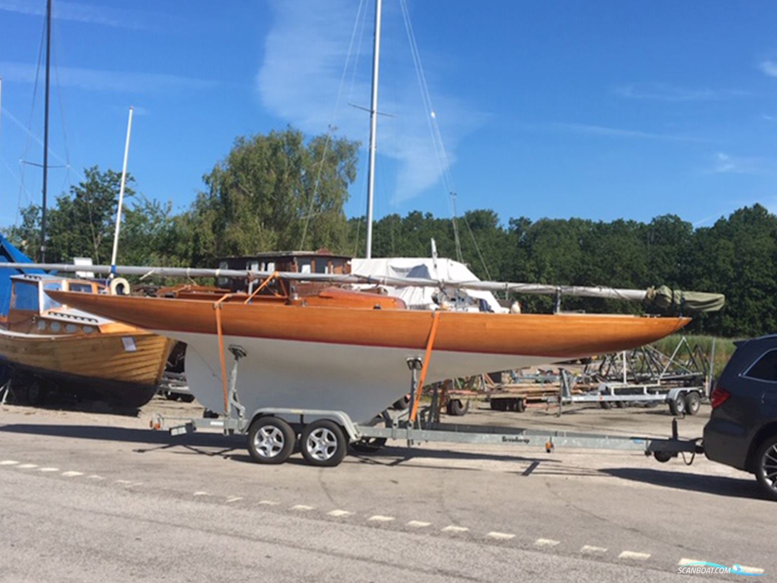 Classic International Dragon