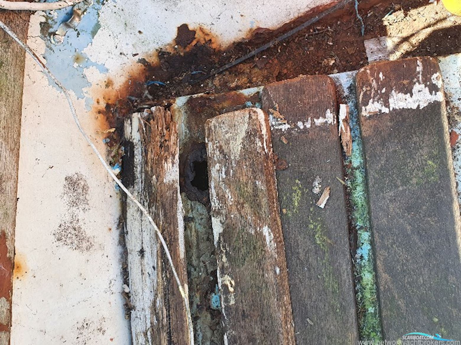 Classic Yacht Classic Kliever 11