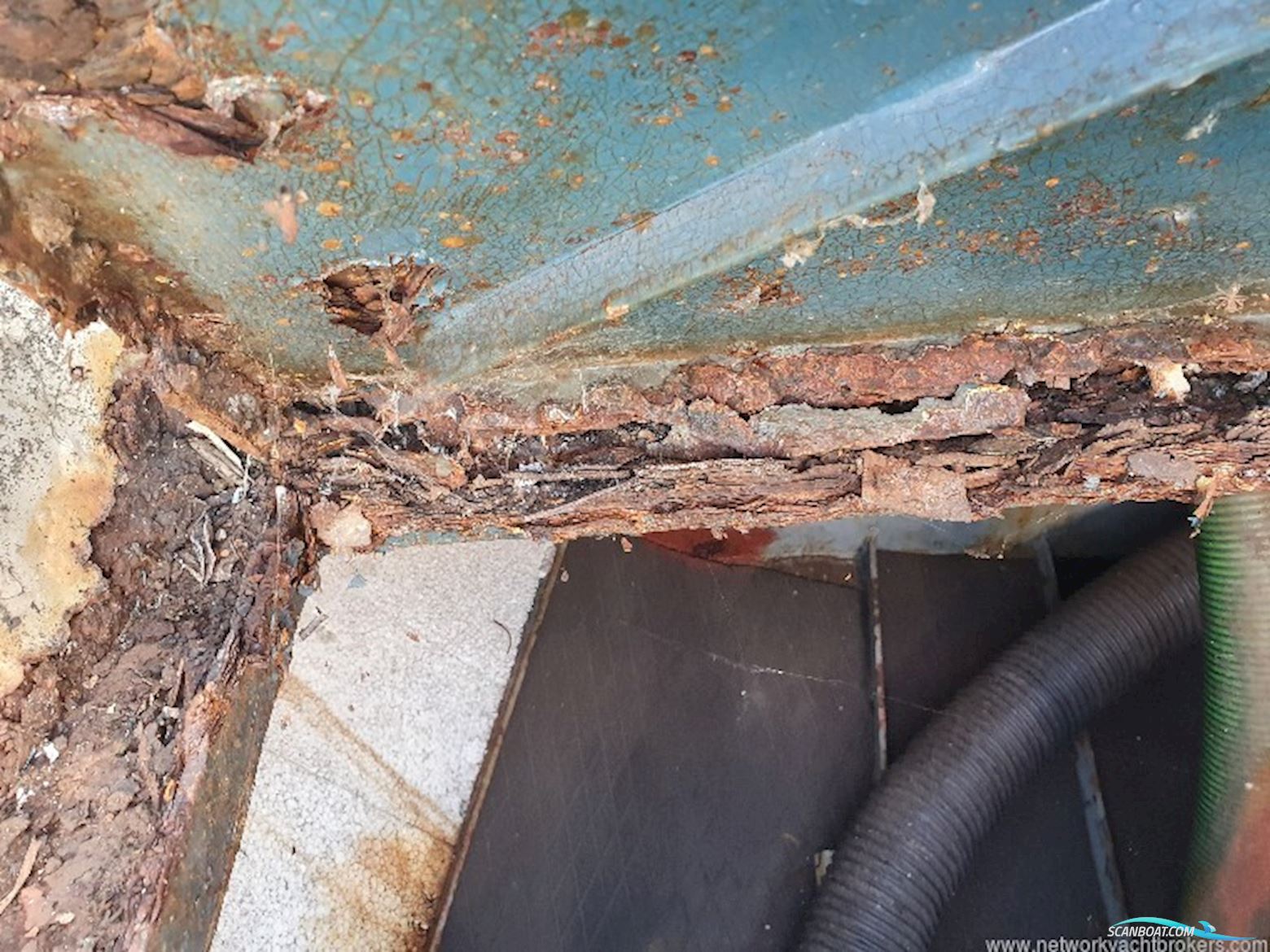 Classic Yacht Classic Kliever 11