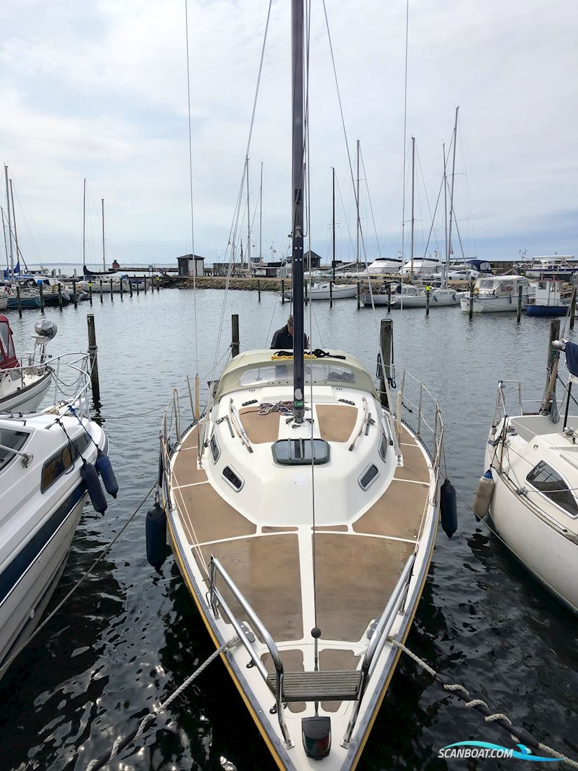 Colina 29 Segelboot 1982, mit Yanmar motor, Dänemark