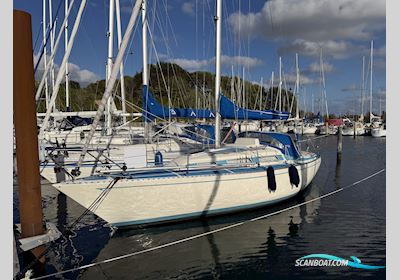 Colina L29 Segelboot 1985, mit Bukh motor, Dänemark