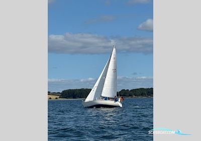 Colina L29 Segelboot 1985, mit Bukh motor, Dänemark