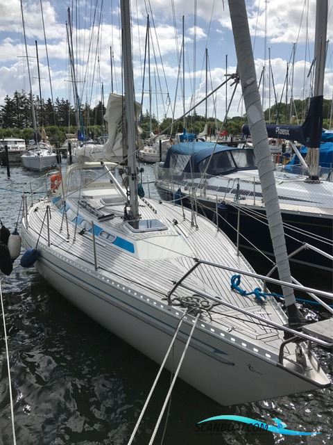 Colina353