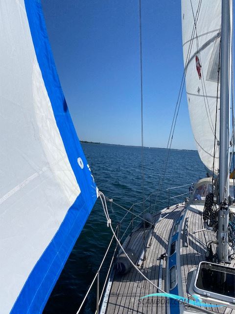 Colina353