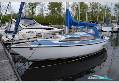 Comar Comet 850 Segelboot 1980, mit Vetus M206A402A motor, Niederlande