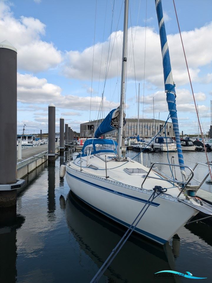 Comfortina 32 Segelboot 1984, mit Vetus M3.09 motor, Dänemark