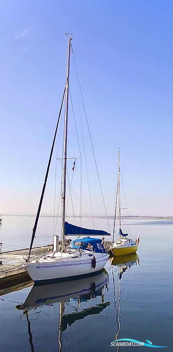 Comfortina 32 Segelboot 1983, mit Volvo Penta md7b  motor, Dänemark