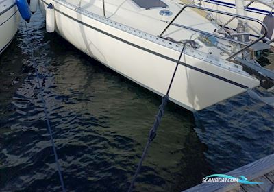 Comfortina 32 Segelboot 1984, mit Volvo Penta D1-30B motor, Dänemark