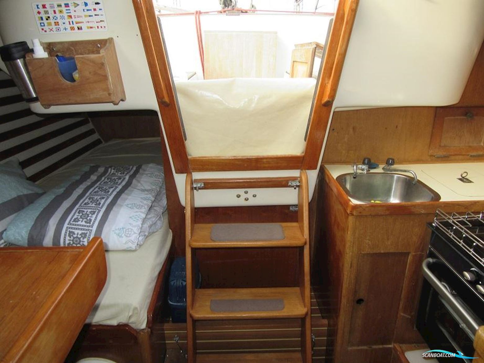 Comfortina Cayenne 42