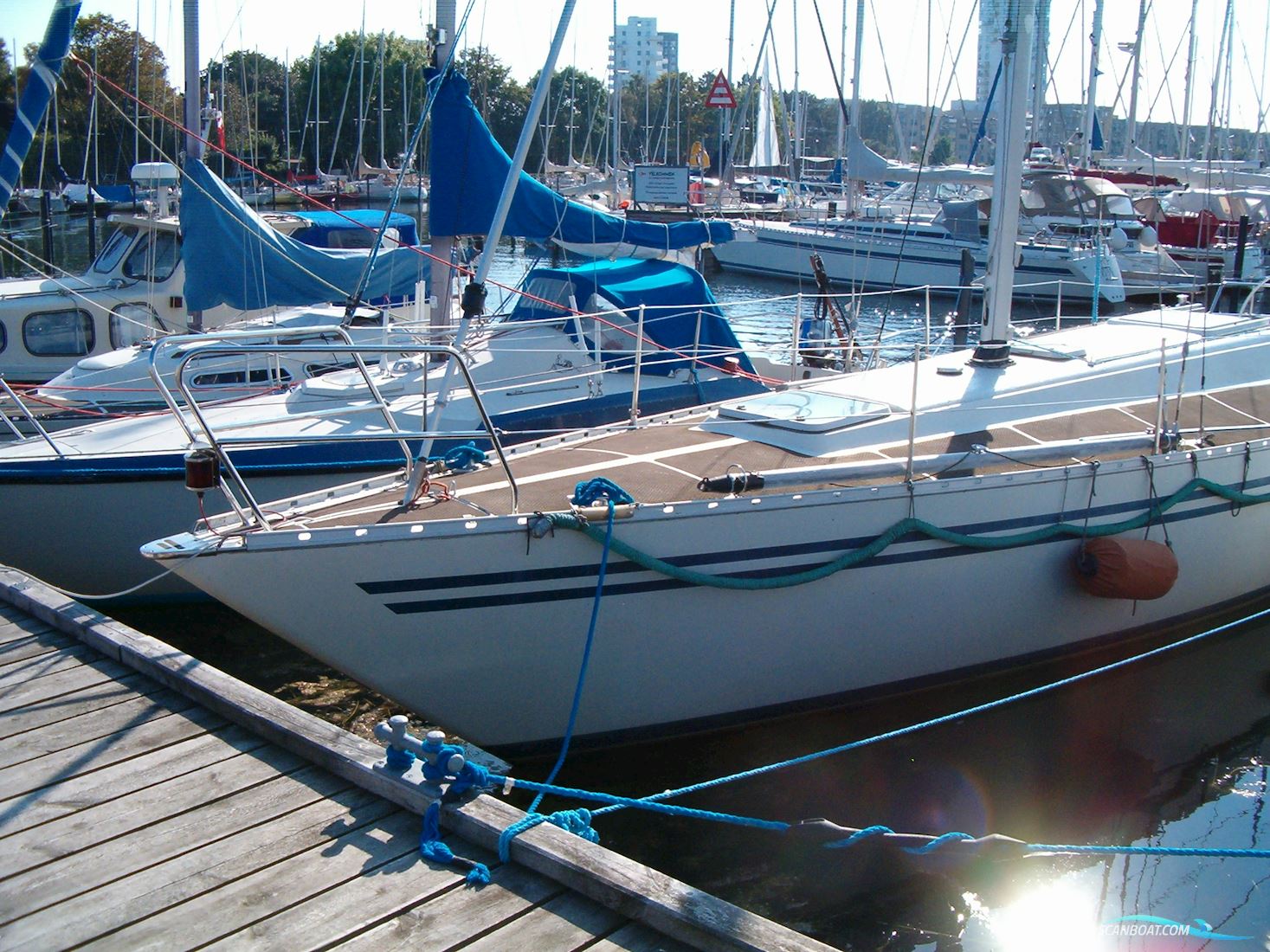 Concorde 38