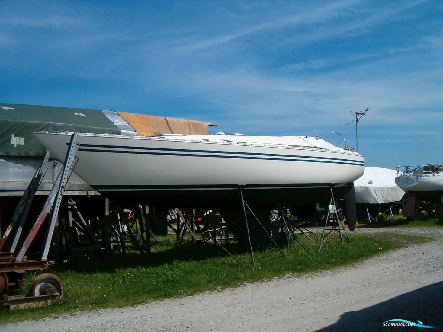 Concorde 38