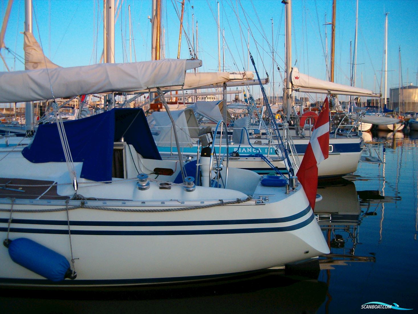Concorde 38
