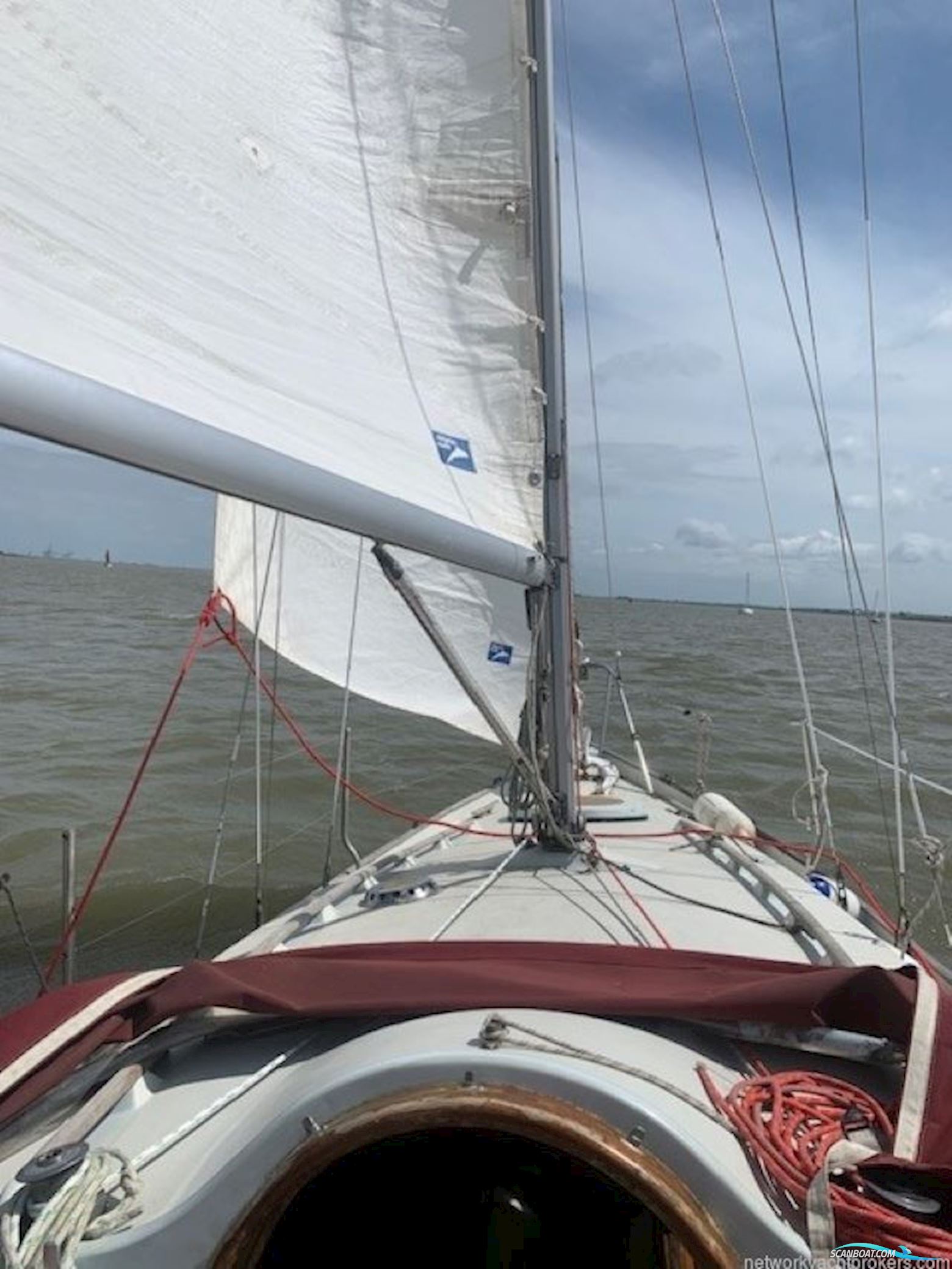 Contessa 26