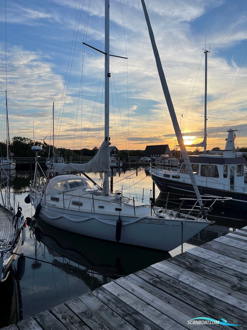Contessa 32