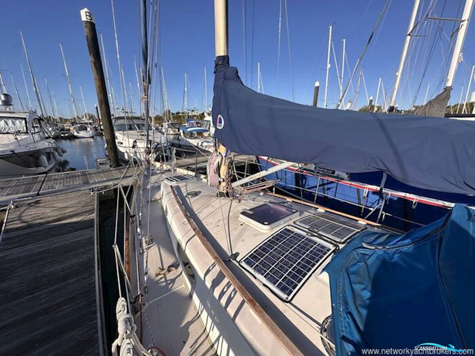 Contessa 32