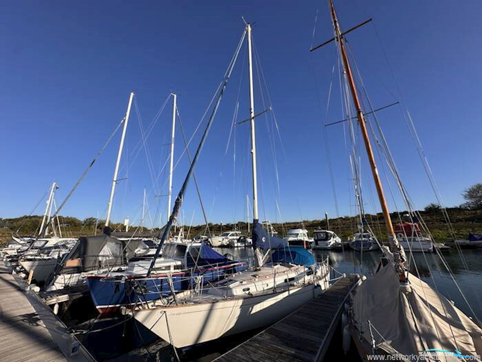 Contessa 32