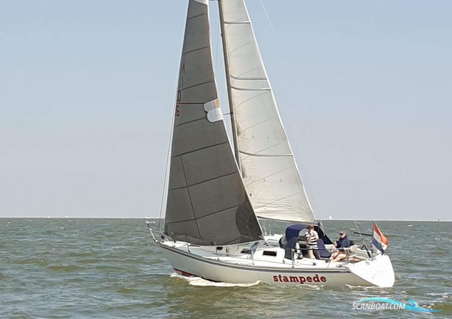 Contessa 34 OOD Segelboot 1979, mit Sole motor, Niederlande