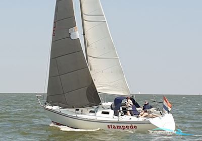 Contessa 34 OOD Segelboot 1979, mit Sole motor, Niederlande