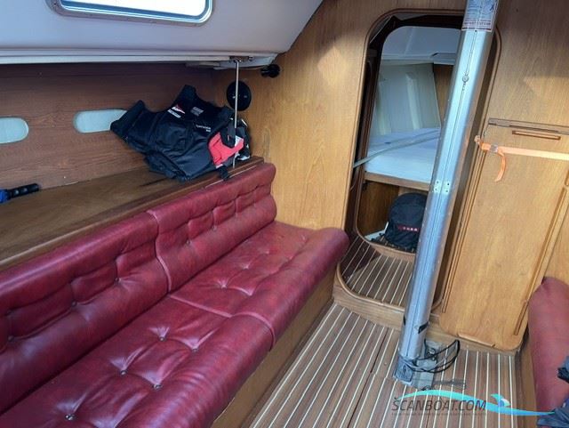 Contessa 34 OOD