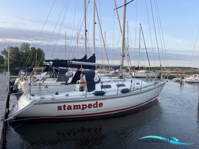 Contessa 34 OOD