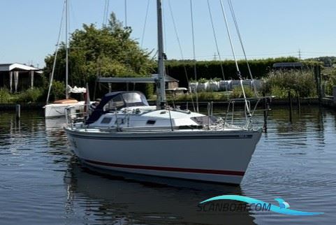 Contessa 34 OOD
