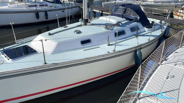 Contessa 34 OOD