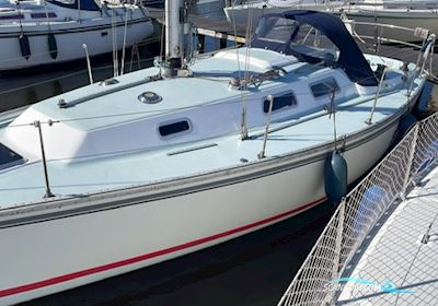 Contessa 34 OOD Segelboot 1979, mit Sole motor, Niederlande