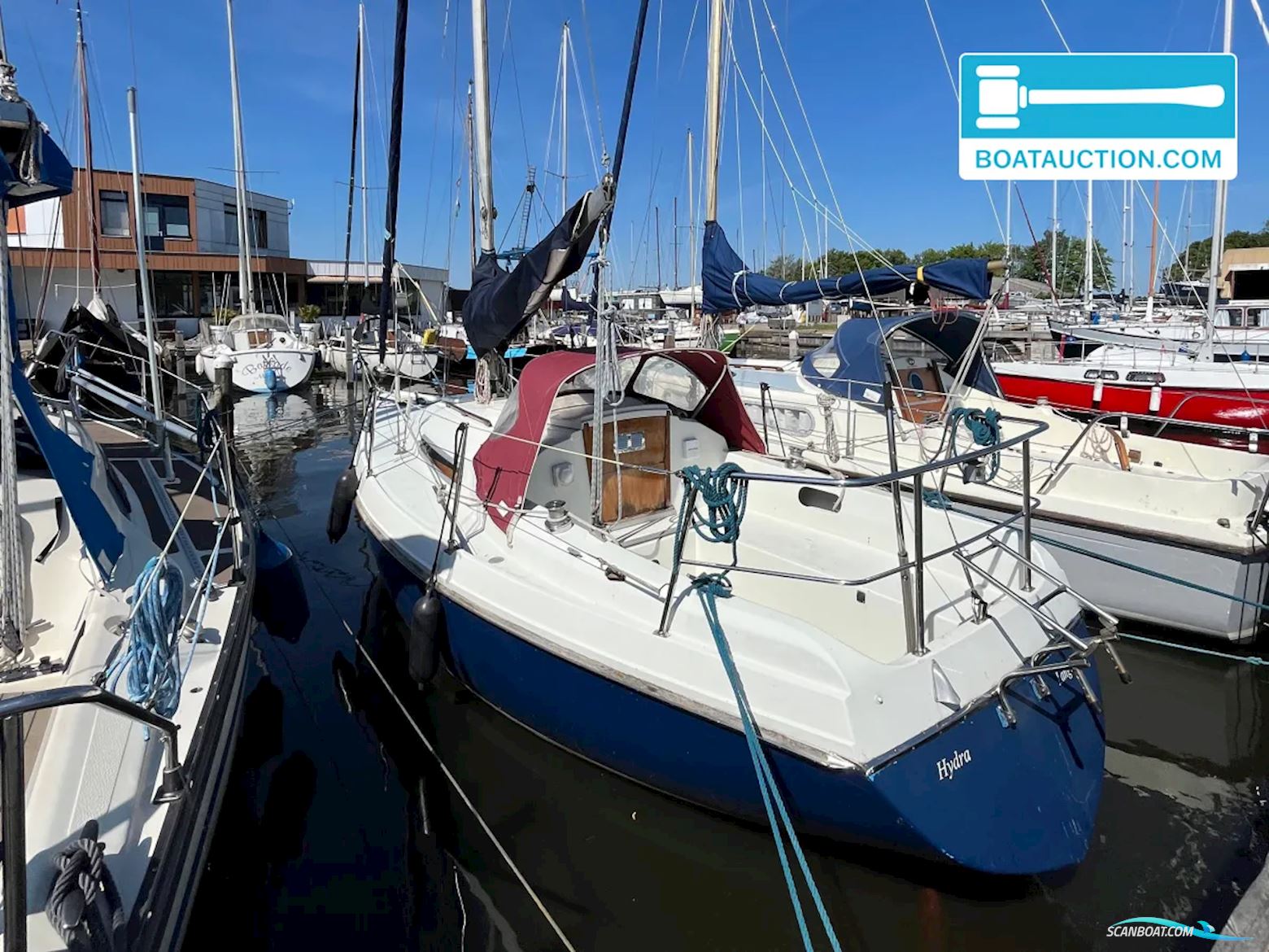 Contest 25 Segelboot 1985, mit Sole motor, Niederlande