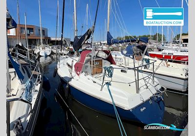 Contest 25 Segelboot 1985, mit Sole motor, Niederlande