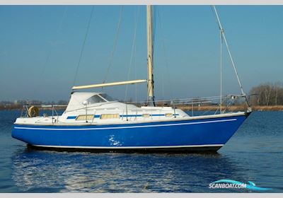 Contest 29 Segelboot 1972, mit Sole motor, Niederlande