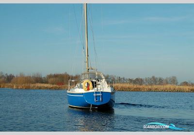 Contest 29 Segelboot 1972, mit Sole motor, Niederlande