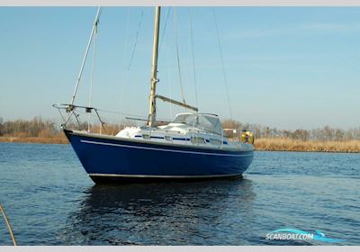 Contest 29 Segelboot 1972, mit Sole motor, Niederlande