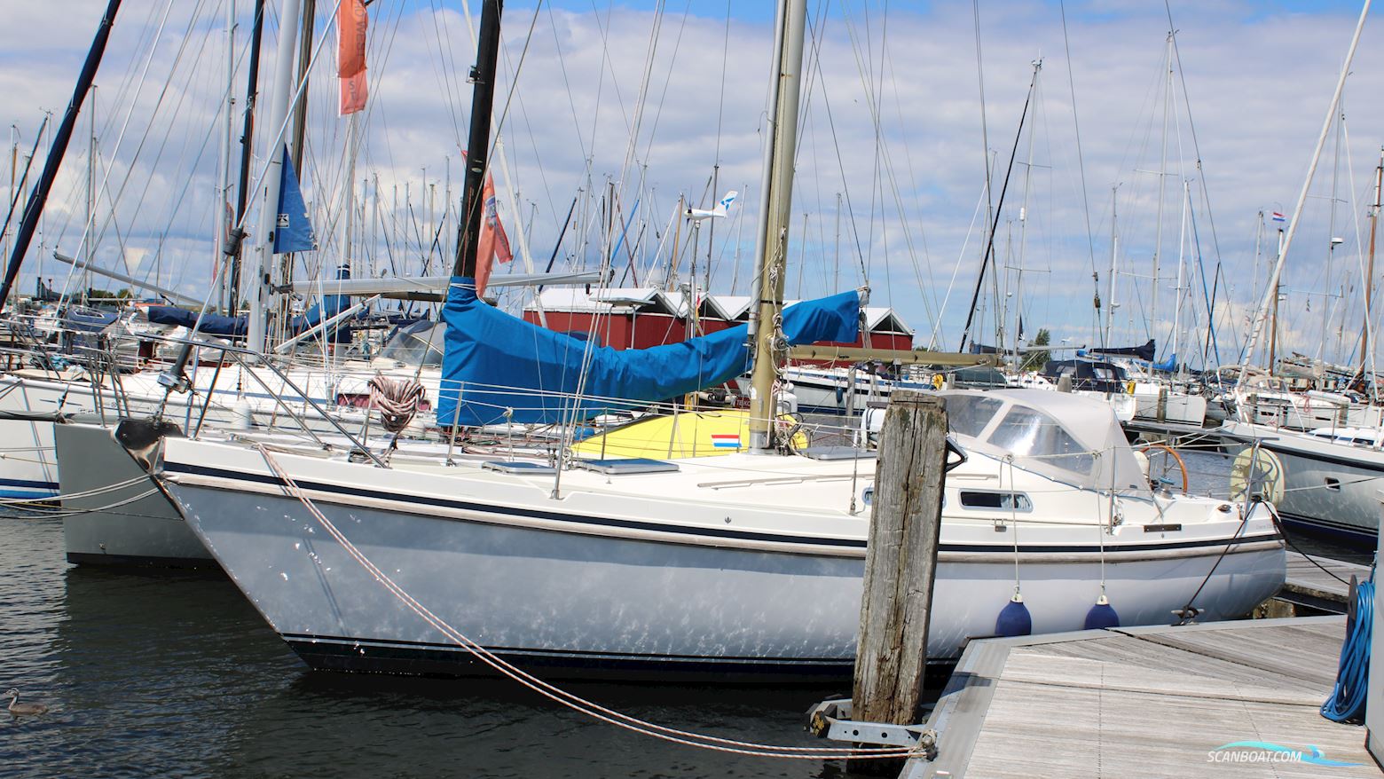 Contest 31 HT Segelboot 1984, mit Volvo Penta motor, Niederlande