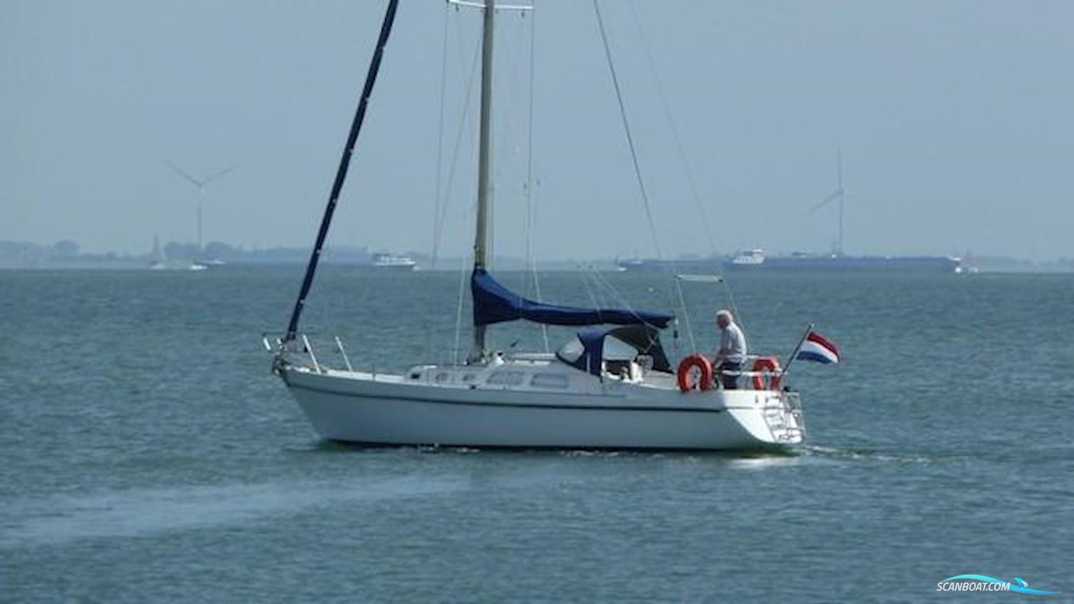 Contest 31 Segelboot 1974, Niederlande