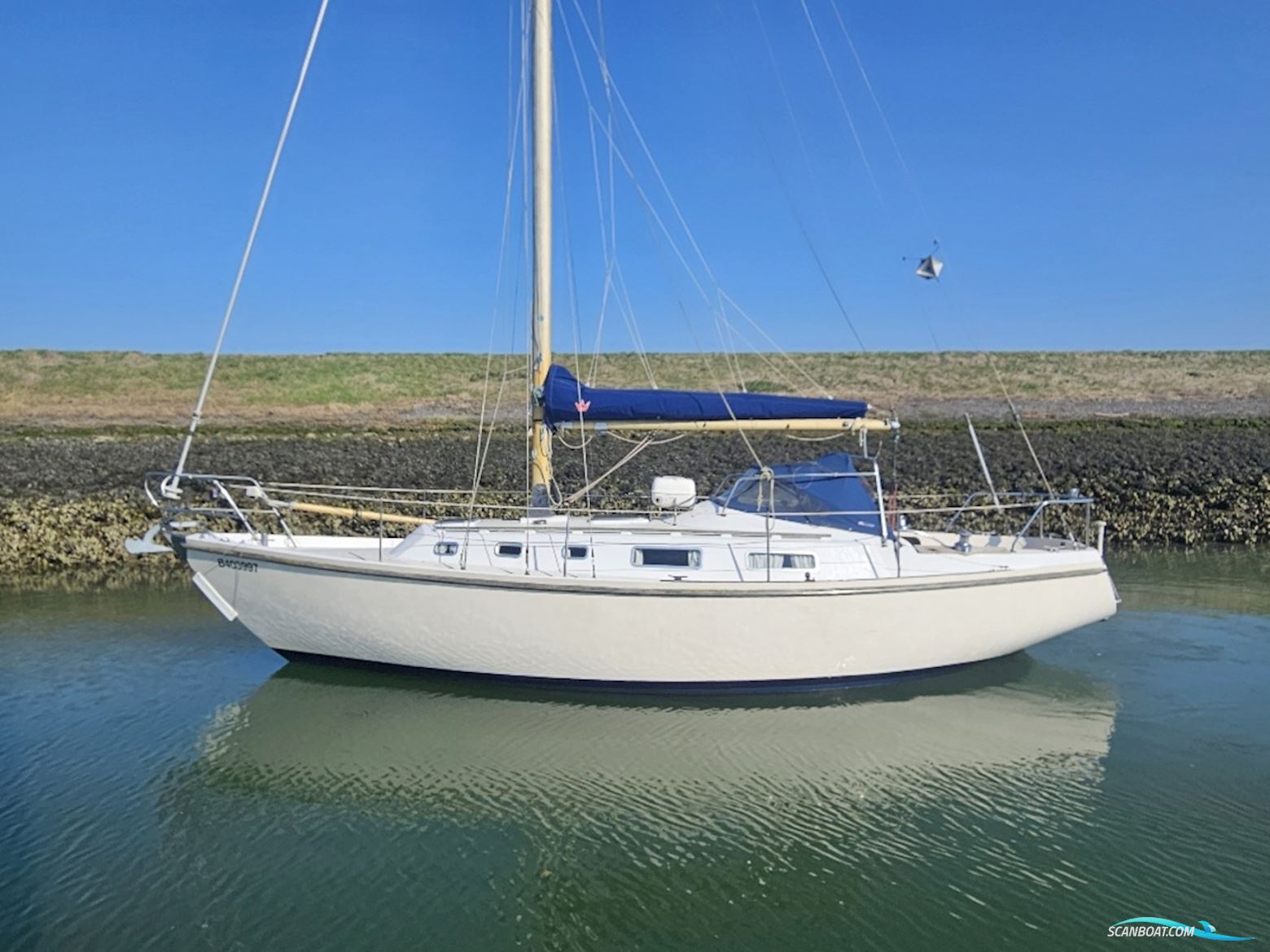 Contest 33 Segelboot 1971, Niederlande