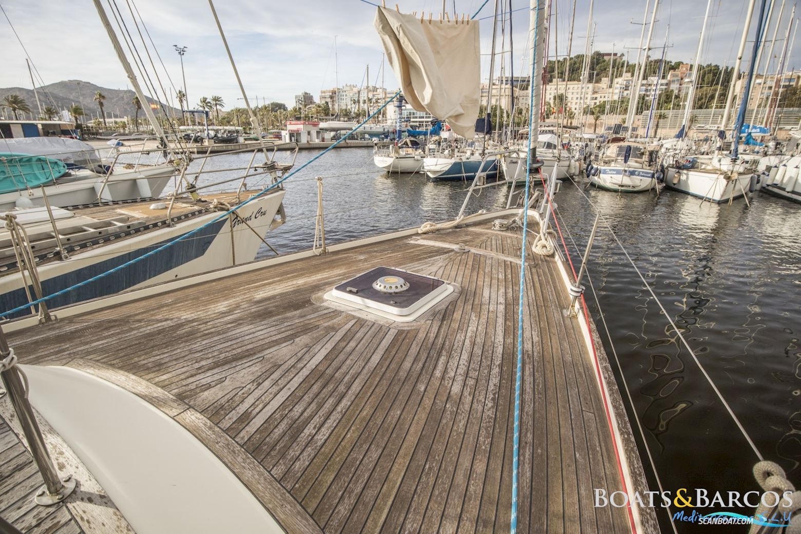 Contest Yachts 43