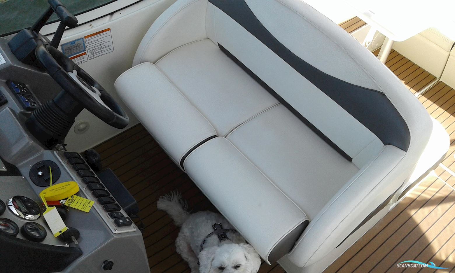 Cruisers Yachts 300 Cxi Express