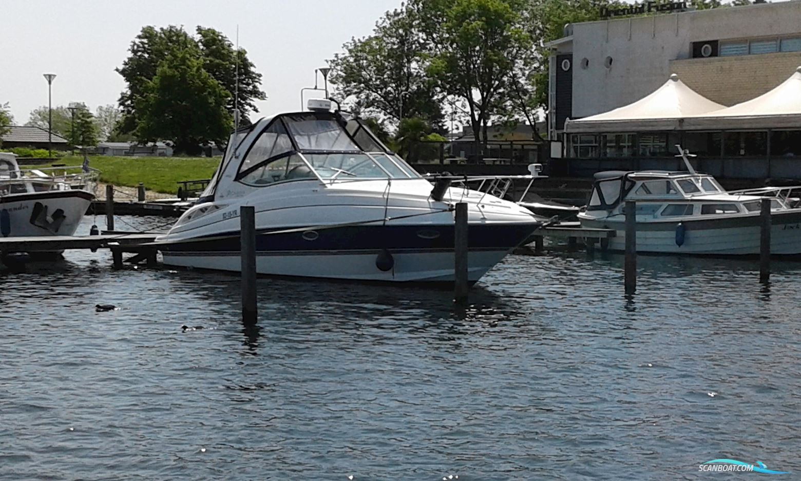 Cruisers Yachts 300 Cxi Express