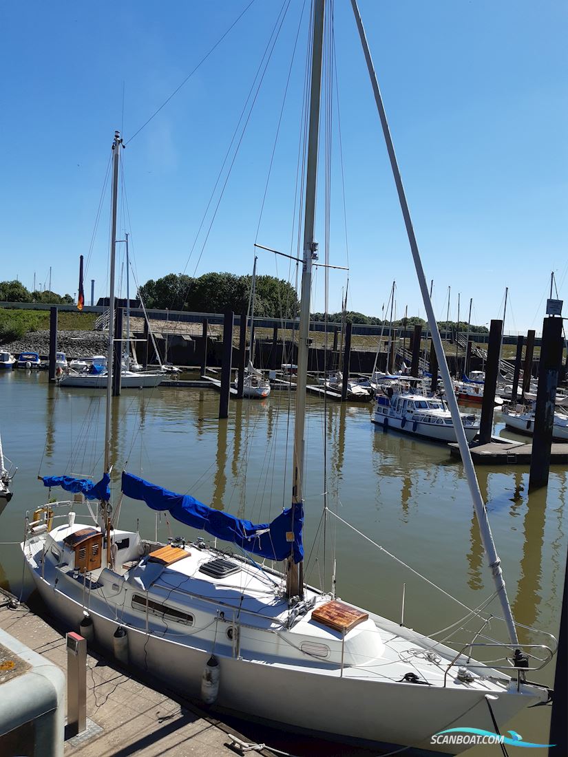 Cumulant Segelboot 1974, mit Bmc motor, Deutschland