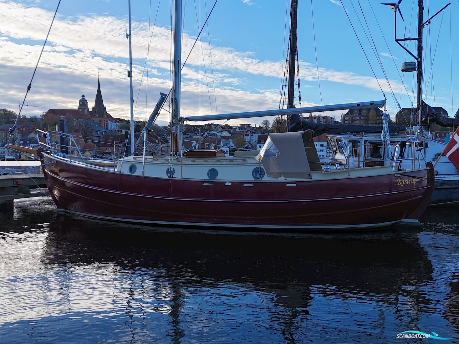 Danish Rose 32