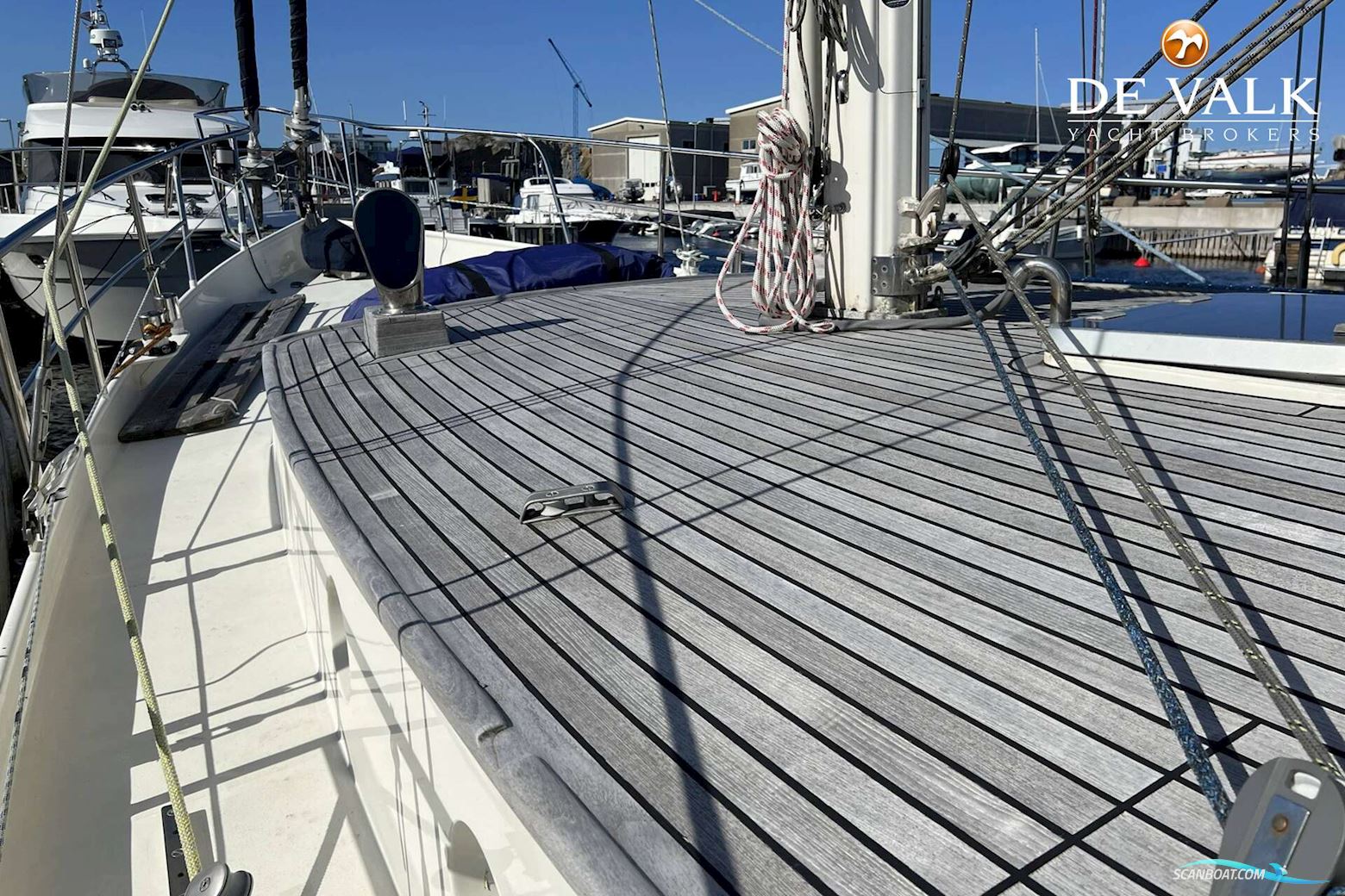 Danish Rose 42