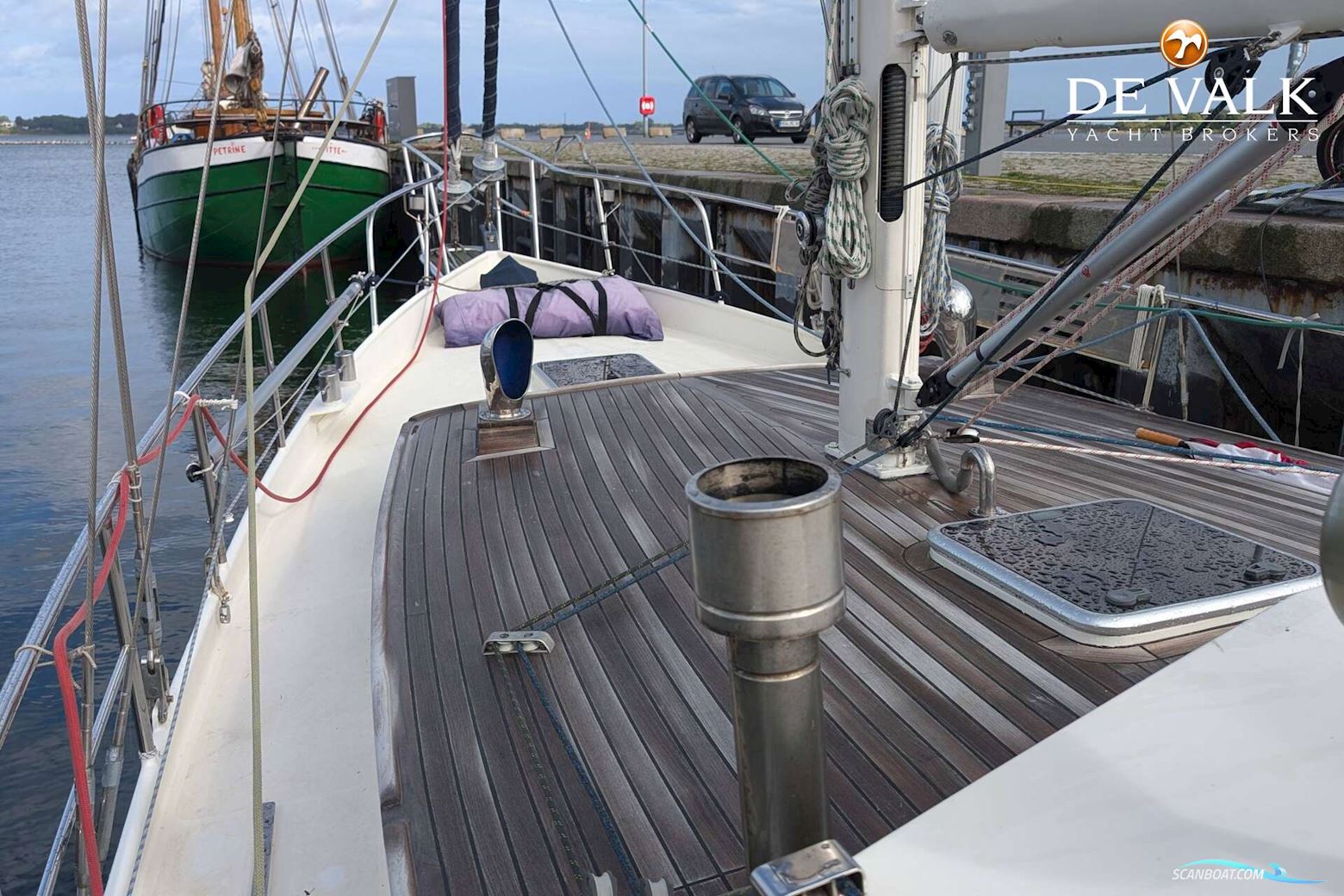 Danish Rose 42