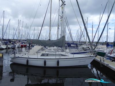 Dehler 28 Segelboot 1989, mit Volvo Penta motor, Niederlande